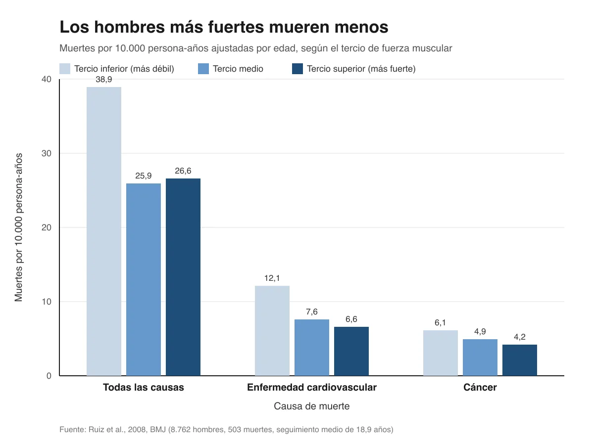 Gráfico de barras agrupadas con las muertes por 10.000 persona-años ajustadas por edad entre 8.762 hombres, divididos en tercio inferior, medio y superior de fuerza muscular. En todas las causas de muerte, el tercio más débil tiene la tasa más alta.