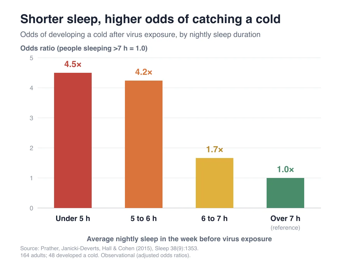Bar chart of the Prather 2015 study. Compared with adults sleeping over 7 hours, the odds of developing a cold after virus exposure were 4.5 times higher under 5 hours, 4.2 times at 5 to 6 hours, and 1.7 times at 6 to 7 hours.